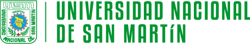 Universidad Nacional de San Martin